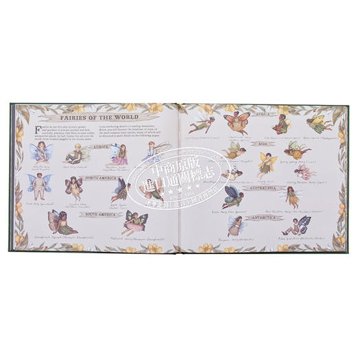 预售 【中商原版】A Natural History of Fairies 仙子的自然史 英文原版 进口原版 6岁到10岁 精装 插图童书 Emily Hawkins 商品图6