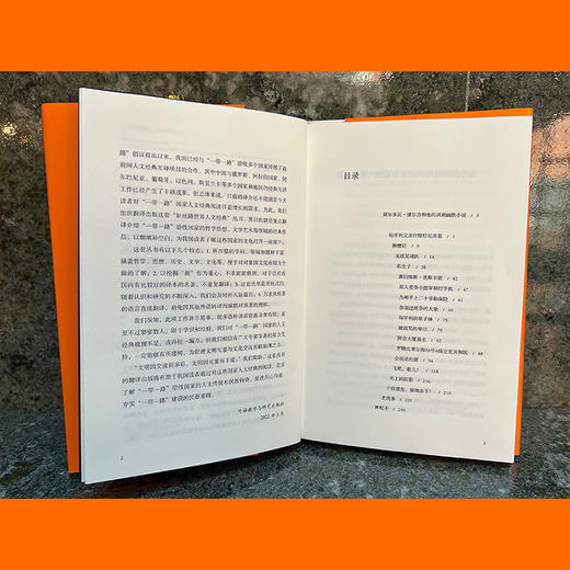 会说话的猪(新丝路世界人文经典) 商品图3