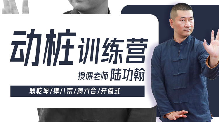 【桩功专训】4—动桩四式 训练营