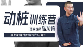 【桩功专训】4—动桩四式 训练营