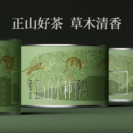 正山堂 | 宋风雅韵正山小种野茶礼盒装特级茶叶 100g 商品图1