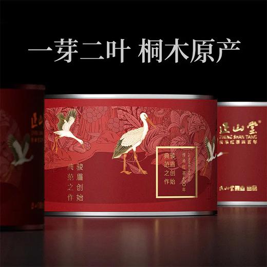 正山堂 | 宋风雅韵骏眉红礼盒装 正山小种红茶特级茶叶 100g 商品图2