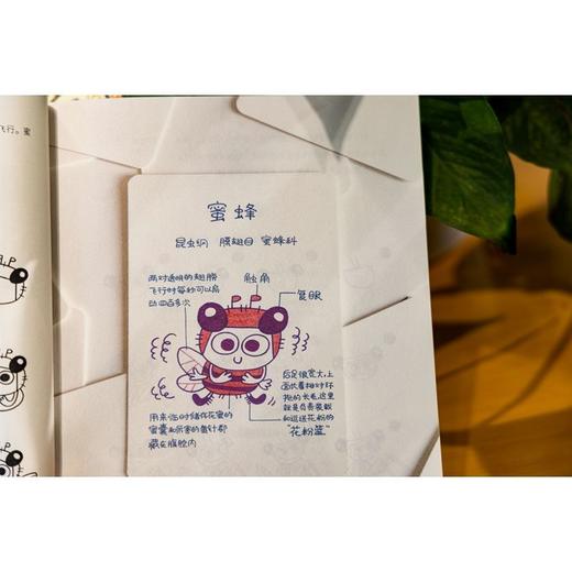 酷虫学校. 做个涂鸦艺术家昆虫知识科普大百科 商品图2