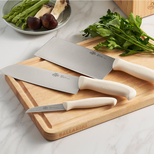 BN-K14/1024151 巴拉利尼那不勒斯系列刀具4件套(含刀架) 商品图6