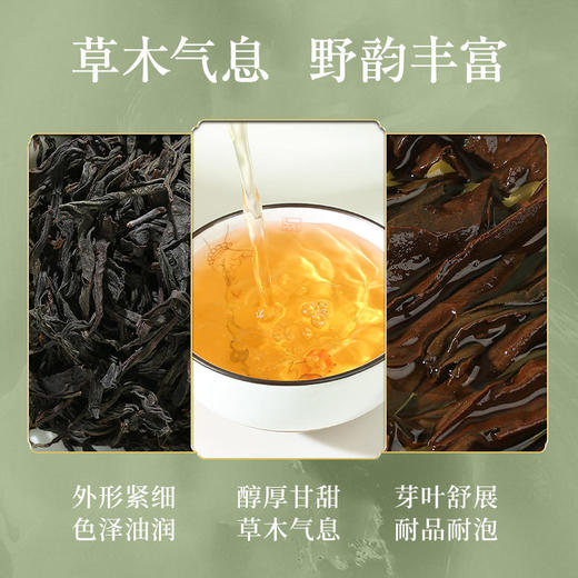 正山堂 | 宋风雅韵正山小种野茶礼盒装特级茶叶 100g 商品图4