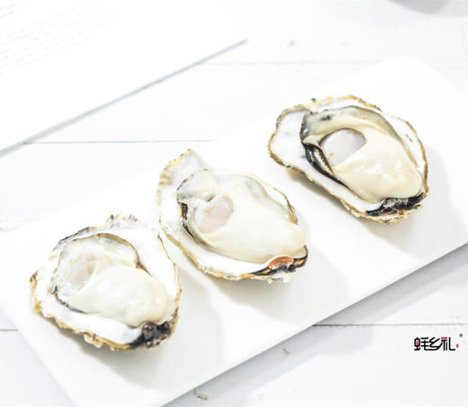 乳山生蚝 刺身级鲜活生蚝 深海自然生长 现捕现发 鲜甜回甘 商品图3