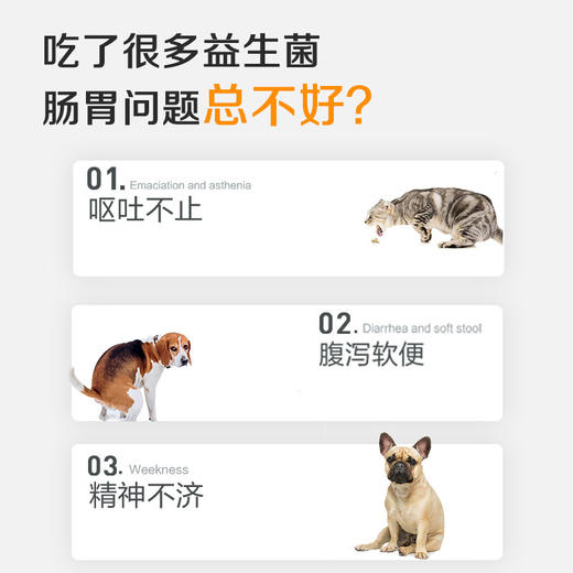 麦德氏IN-BASIC宠物益生菌宠物猫咪狗狗肠胃舒缓肠胃保护5g*5包 商品图2