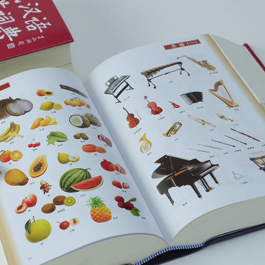 现代汉语规范词典(第4版) 2022新版 商品图3