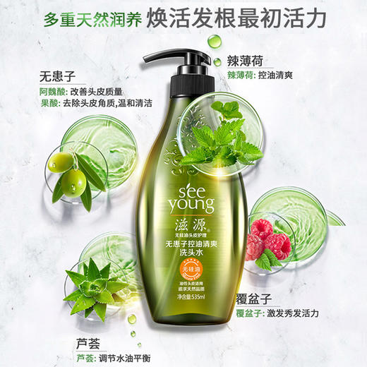 滋源无患子控油清爽洗头水535ml 商品图3