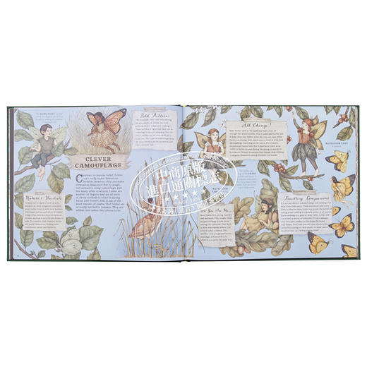预售 【中商原版】A Natural History of Fairies 仙子的自然史 英文原版 进口原版 6岁到10岁 精装 插图童书 Emily Hawkins 商品图5