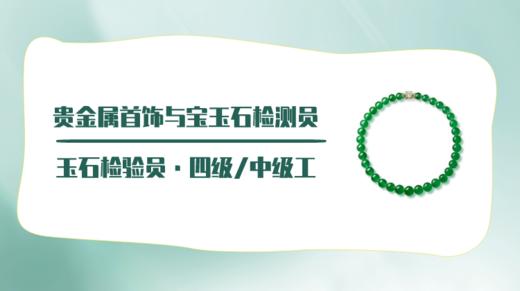 四级/中级工｜玉石检验员 商品图0