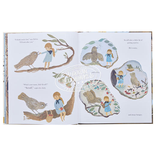 【中商原版】Gemma Koomen：树林保护者 The Tree Keepers 名家绘本 美的启蒙 低幼童书 亲子阅读 精装 3~6岁 英文原版 商品图8