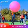 健球主题团建团队体育运动比赛球122cm挑战强者户外拓展团建游戏 商品缩略图0