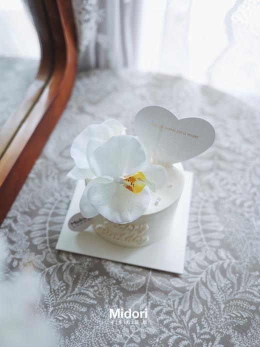 蝴蝶兰 | 纯白系 商品图4