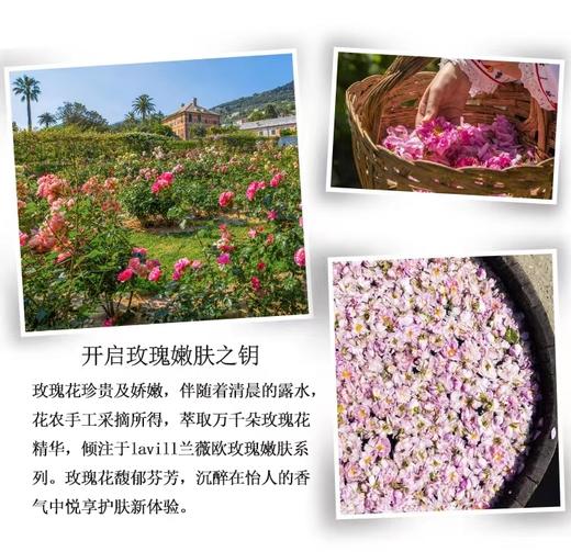 兰微欧玫瑰嫩肤面膜  68元/2盒 商品图1