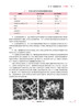 医学微生物学与寄生虫学 第5版 十四五规划教材 全国高等学校教材 供本科护理学类专业用 吴松泉 廖力人民卫生出版社9787117332545 商品缩略图4