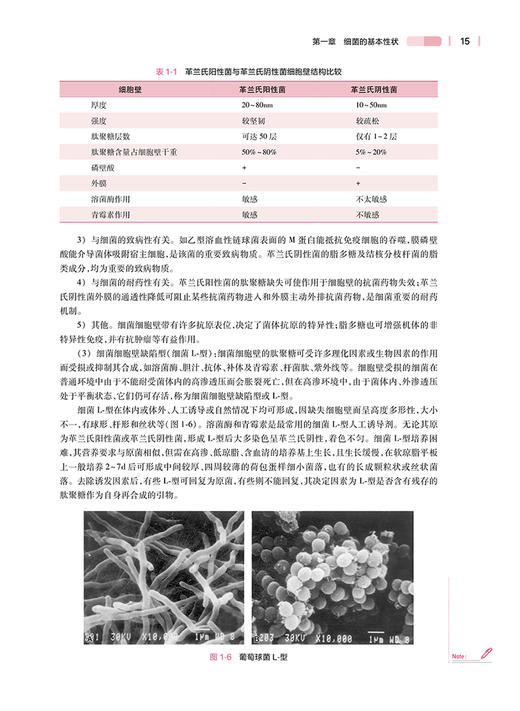 医学微生物学与寄生虫学 第5版 十四五规划教材 全国高等学校教材 供本科护理学类专业用 吴松泉 廖力人民卫生出版社9787117332545 商品图4