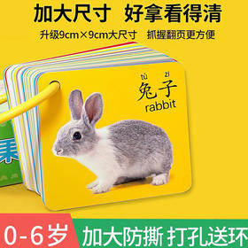 早教识字学数字卡片儿童益智玩具宝宝启蒙认知有图无图双面识字卡-D仓