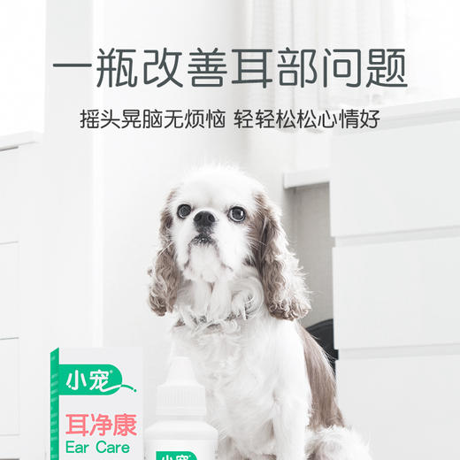 小宠耳净康50ml耳朵清洁液 耳部护理 商品图2