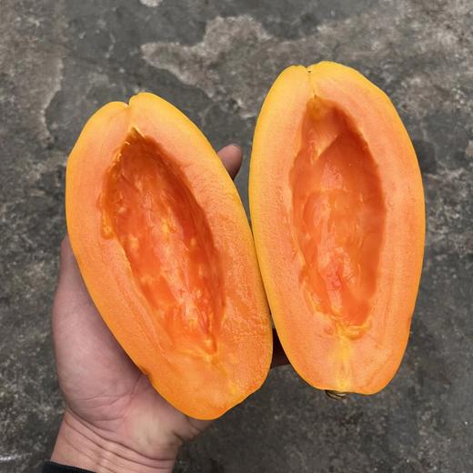 XZG-牛奶木瓜（海南） 1.1-1.3斤/个～9.9元 商品图1