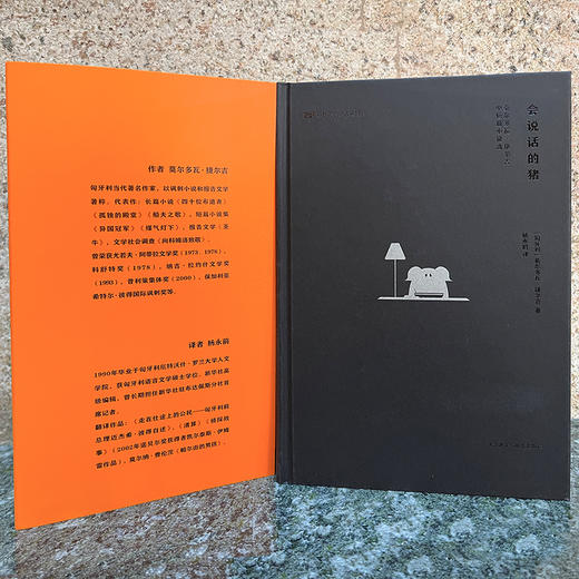 会说话的猪(新丝路世界人文经典) 商品图2