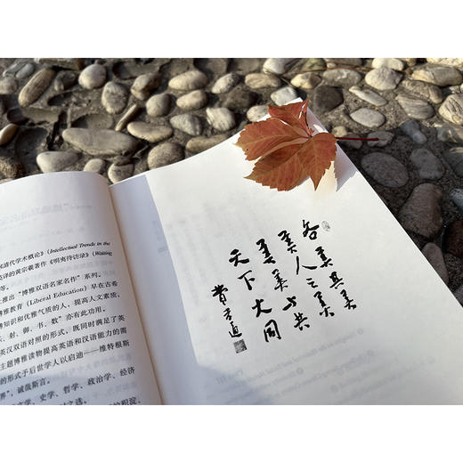 费孝通社会学双语经典套装(江村经济+乡土中国+中国士绅+全球化与文化自觉) 商品图5