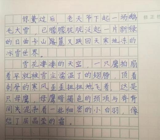 【卷面书法】—帮孩子练出一手好字，正姿课、字体速成，四大校区可选，3节课仅需19.9元 商品图2