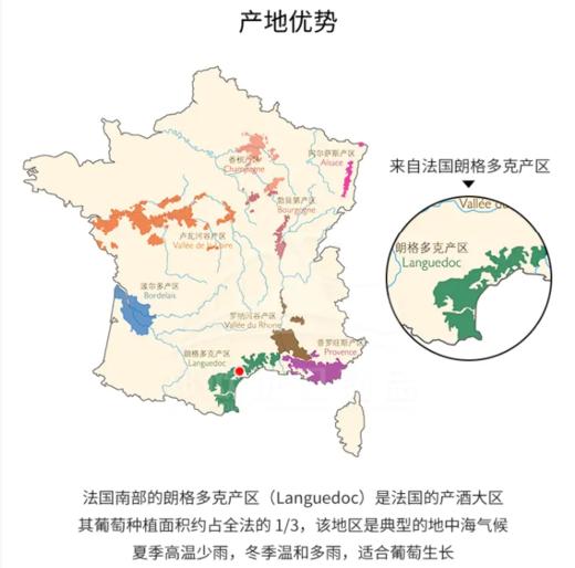 【中欧班列直供】法国红酒  芮贝特梅洛-朗格多克优良地区葡萄酒红酒 750ml/瓶 商品图3
