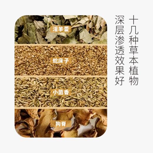 先天贴 肾藏的移动充电器 【多盒】 商品图4