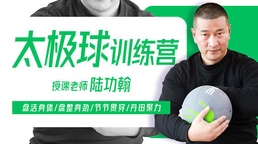 【器械盘功专训】4—太极球 训练营课程 商品图0