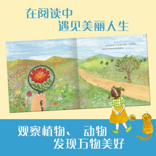 爸爸的放大镜    一年级共读书正版现货速发|名师推荐|小学生课外阅读1年级课外读物 商品图3