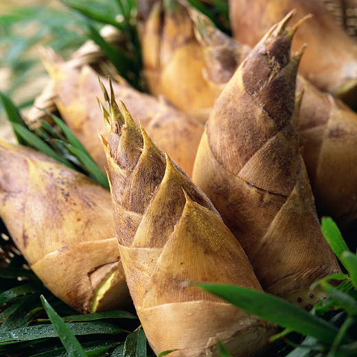 浔隐山 马蹄笋干 毛竹笋 干货食材辅料 笋干嫩笋 200g/袋 商品图1