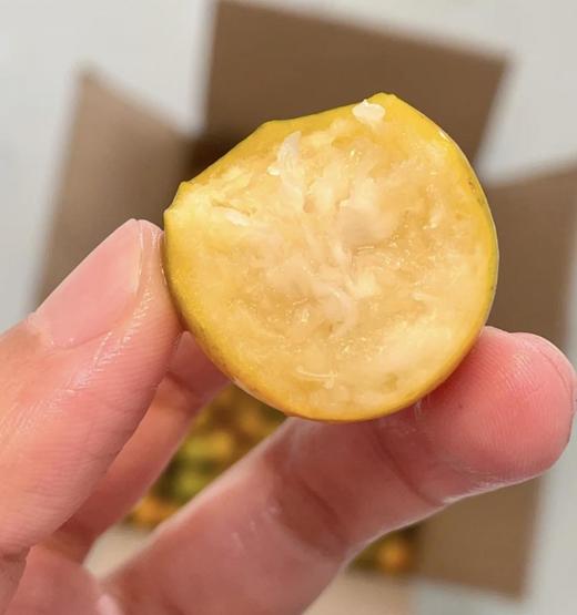 【广西脆皮金桔】 34.9元起3斤装/5斤彩箱装富含维生素c 现摘现发 脆甜可口 带皮即食 商品图4