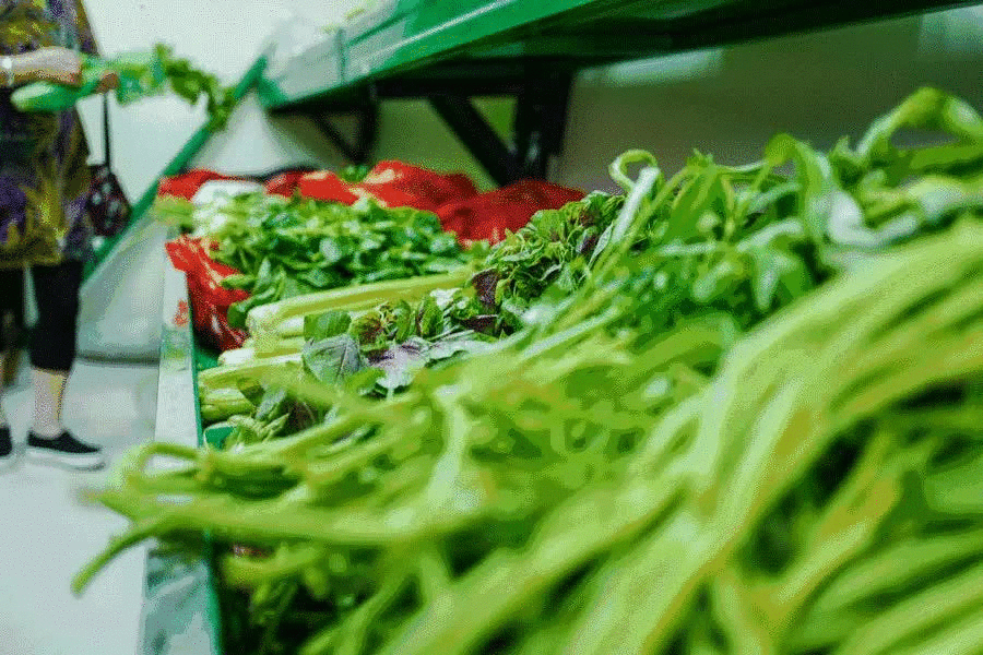 干货：4种春菜挑选技巧大全，挑得好才能吃得好！