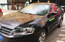 一下雨玻璃就花？油膜到底为啥反复形成