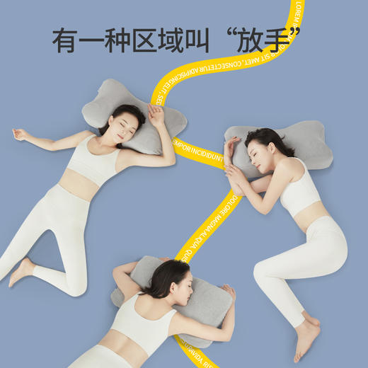 佳奥蝶形四区记忆枕 商品图3