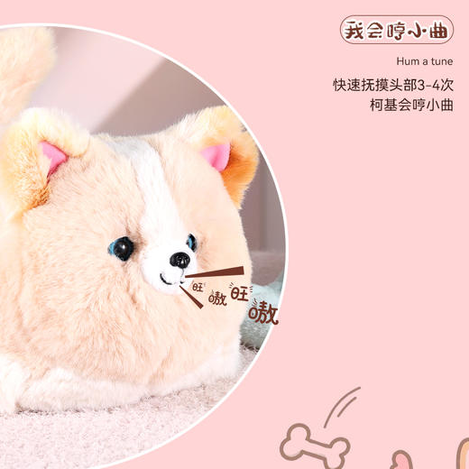 【趣巢】抱抱喵毛绒电动仿真猫咪会说话公仔趣味复读卖萌造型儿童玩具 商品图7