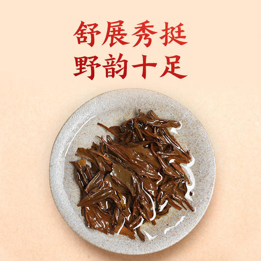 正山堂 | 野茶花开富贵正山小种礼盒特级野生红茶礼盒装 200g 商品图4