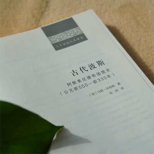 古代波斯：阿契美尼德帝国简史（公元前550—前330年） 商品图3