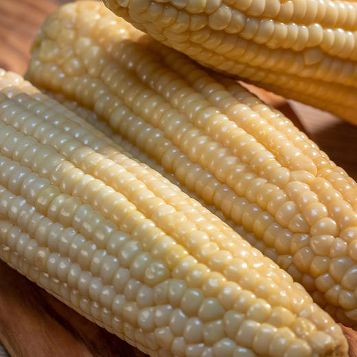 五常甜糯玉米 |  2025年新鲜上市 口感细腻 鲜嫩香糯 颗粒饱满 黑土地种植 新鲜采摘 真空独立包装 商品图1