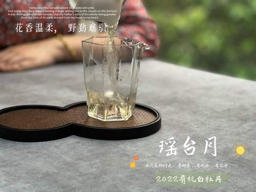 【4斤收藏装】2022有机白牡丹，开在仙山旷野的高岭之花 商品图11