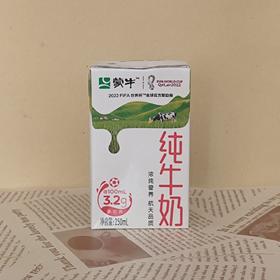 纯牛奶