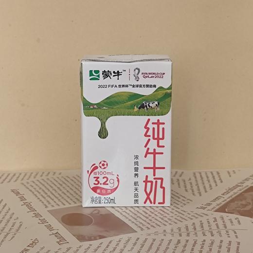 纯牛奶 商品图0