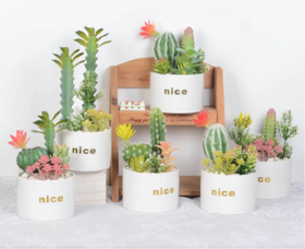 咋咔仿真花TMZ97402大号nice杯（白色）多肉系列 带叶仙人柱中号大号拼植绒橙黄色小仙人科