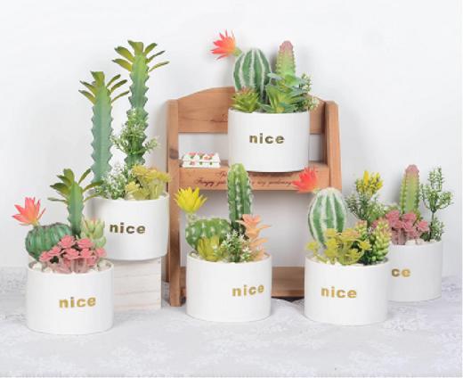 咋咔仿真花TMZ97402大号nice杯（白色）多肉系列 带叶仙人柱中号大号拼植绒橙黄色小仙人科 商品图0