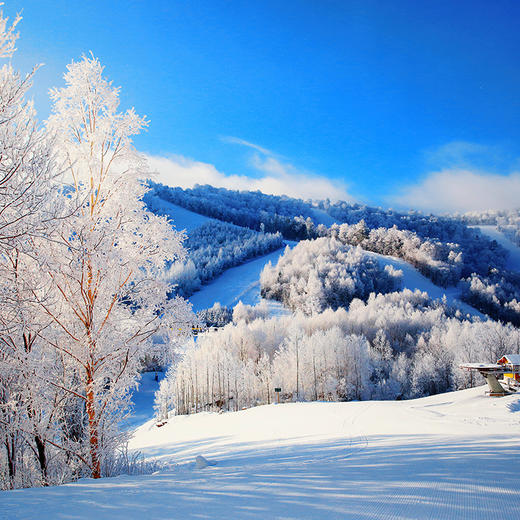 万达悦华酒店 滑雪季 商品图4