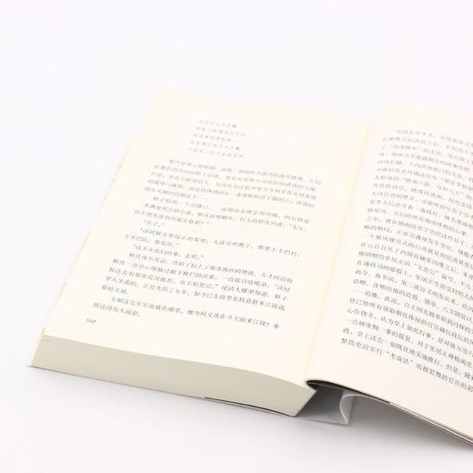 张居正(共4册) 茅盾文学奖全票获奖 姚雪垠长篇历史小说奖 正版 商品图4