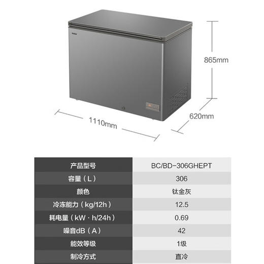 海尔（Haier）冷柜 BC/BD-306GHEPT 商品图14