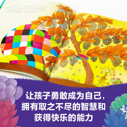 艾玛（花格子大象艾玛经典绘本） 3-6岁 德国绘本大奖得主大卫·麦基 著 儿童绘本 商品图2