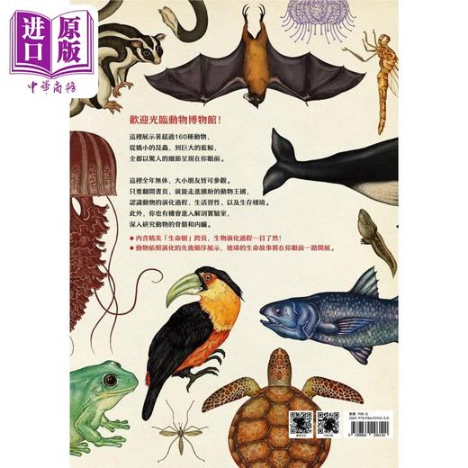 【中商原版】动物博物馆 ANIMALIUM 台版 Jenny Broom 自然科普 图鉴 儿童读物 精装大开本 商品图1